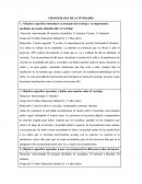 CRONOGRAMA DE ACTIVIDADES