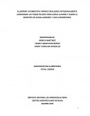 Proyecto de negocio chorizos