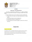 ACTIVIDAD Análisis Interno – Mix de Marketing (4P´s)