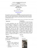 Laboratorio de Mineralurgia y Metalurgia Extractiva Práctica N° 3