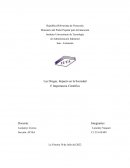 Las Drogas, Impacto en la Sociedad E Importancia Cientifica