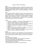 Balneario LA CEIBA - Plan estratégico