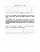 Matrimonio Igualitario