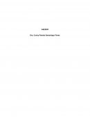 Rubrica de evaluacion