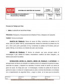 PROGRAMA DE SEGURIDAD Y SALUD EN EL TRABAJO