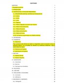 Tesis auditoria de gestion