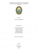 TALLER 1 CULTURA COLOMBIANA