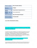 Cultura Organizacional INAEBA