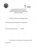 Liderazgo para las organizaciones