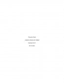 Proyecto final auditoria interna de calidad