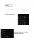 PRACTICA 1.- SÍMBOLO DE SISTEMA