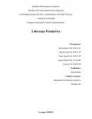 Liderazgo Productivo