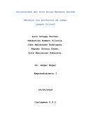 Mecatos con productos de campo (papas fritas)