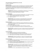 Test de Efectividad y Adaptabilidad del Líder LEAD