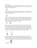 Cuidado de mascotas Nature's Miracle