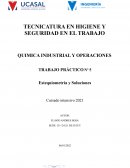 TRABAJO PRÁCTICO Nº 5 Estequiometria y Soluciones