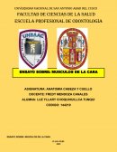 ENSAYO SOBRE: MUSCULOS DE LA CARA