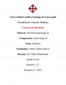 REFLEOS PROFUNDOS Y PATOLÓGICOS