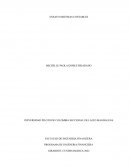 Ensayo de sistemas contables