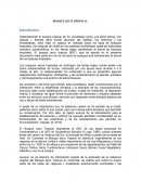 BOSQUE SECO TROPICAL