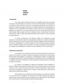 HP-TM-C-146 Nissin Corporation