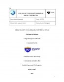 Estudio de caso peace frogs