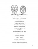 Caso Práctico: Creative Cases