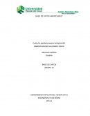 BASE DE DATOS AMERICANFUT