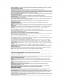 ¿Cuál es la diferencia entre una organización y un sistema?