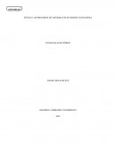 Caso pratico 2 regimen cambiario colombiano