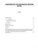 AUDITORIA DE LOS SISTEMAS DE PRL