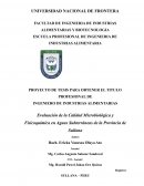 Evaluación de la Calidad Microbiológica y Fisicoquímica en Aguas Subterráneas de la Provincia de Sullana