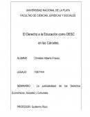 El Derecho a la Educación como DESC en las Cárceles
