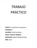 Plan de trabajo AT