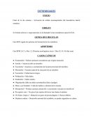 RESUMEN EMBRIOLOGÍA CLÍNICA