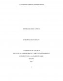 INTRODUCCION A LA ADMINISTRACION