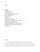 Análisis y propuesta para la reducción de tiempo en el proceso de atención al cliente en una empresa bancaria