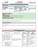 INSTRUMENTO DE REGISTRO DE ESTRATEGIAS DIDÁCTICAS