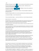 Desarrollo lingüístico como un proceso que tiene distintos momentos
