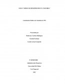 Silo y medio de bipartidismo en Colombia