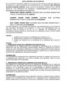 JUNTA UNIVERSAL DE ACCIONISTAS AVANCE