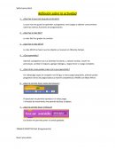 Computacion. Reflexión sobre la actividad