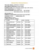 REGISTRO PEDAGÓGICO