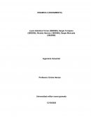 DINAMICA 2 (ROZAMIENTO)