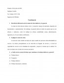 Proceso de panaderia