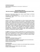 PRACTICA CUIDADO A LA GESTANTE DURANTE ELTRABAJO DE PARTO, PARTO, POSPARTO Y AL RECIEN NACIDO