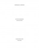 GOBERNABILIDAD Y GOBERNANZA ELECTIVA EN HUMANIDADES