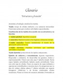 Glosario Estructura y Función