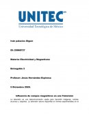 Influencia de campos magnéticos en una Televisión