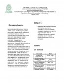 INFORME 2: CALOR DE COMBUSTION